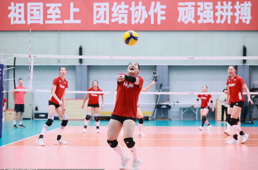 M6米乐app官网下载体验评测与分享